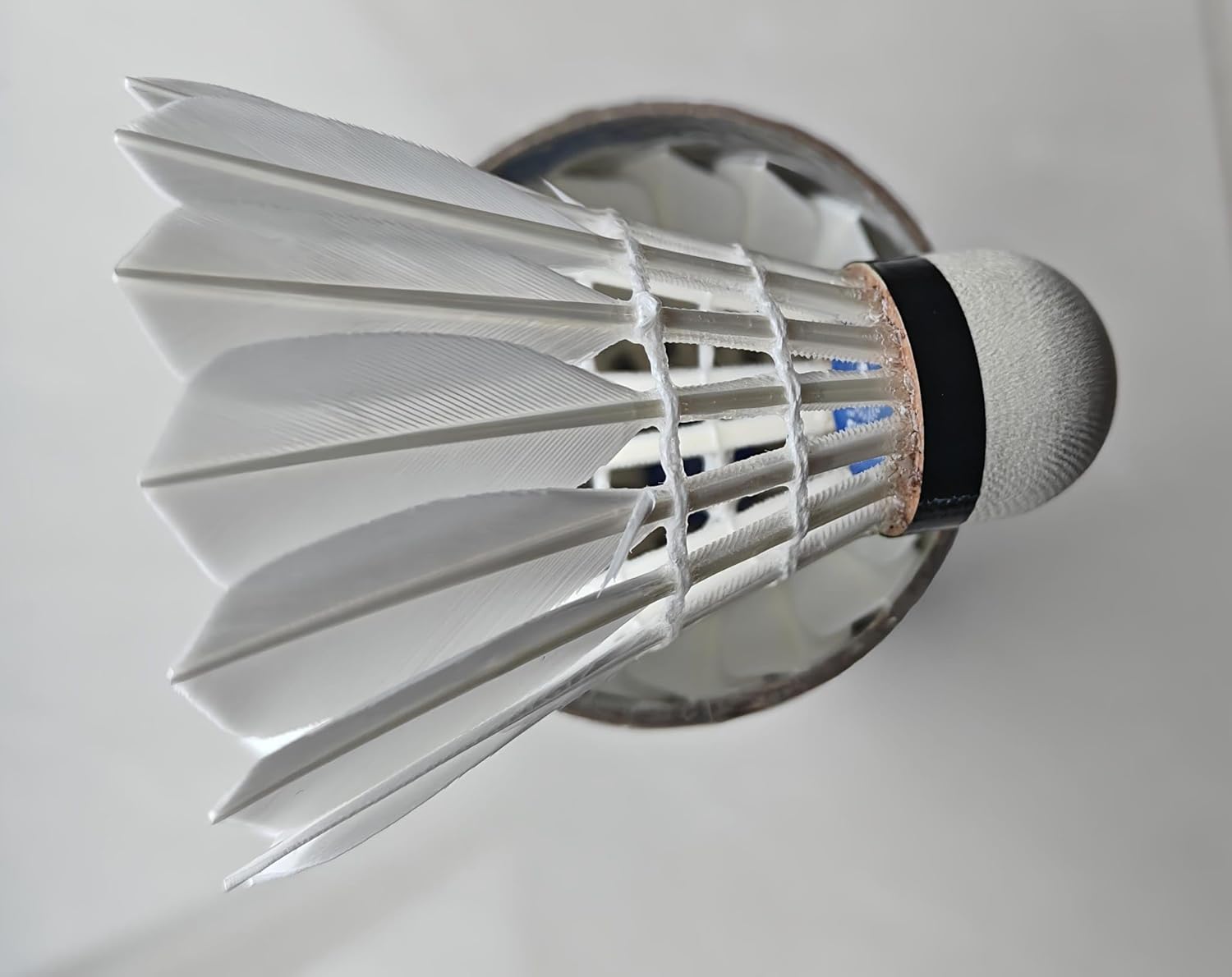 Premium Feather Shuttlecocks, Competition Grade, 12-Pack