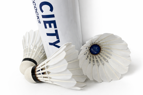 Close-up of professional grade goose feather shuttlecock